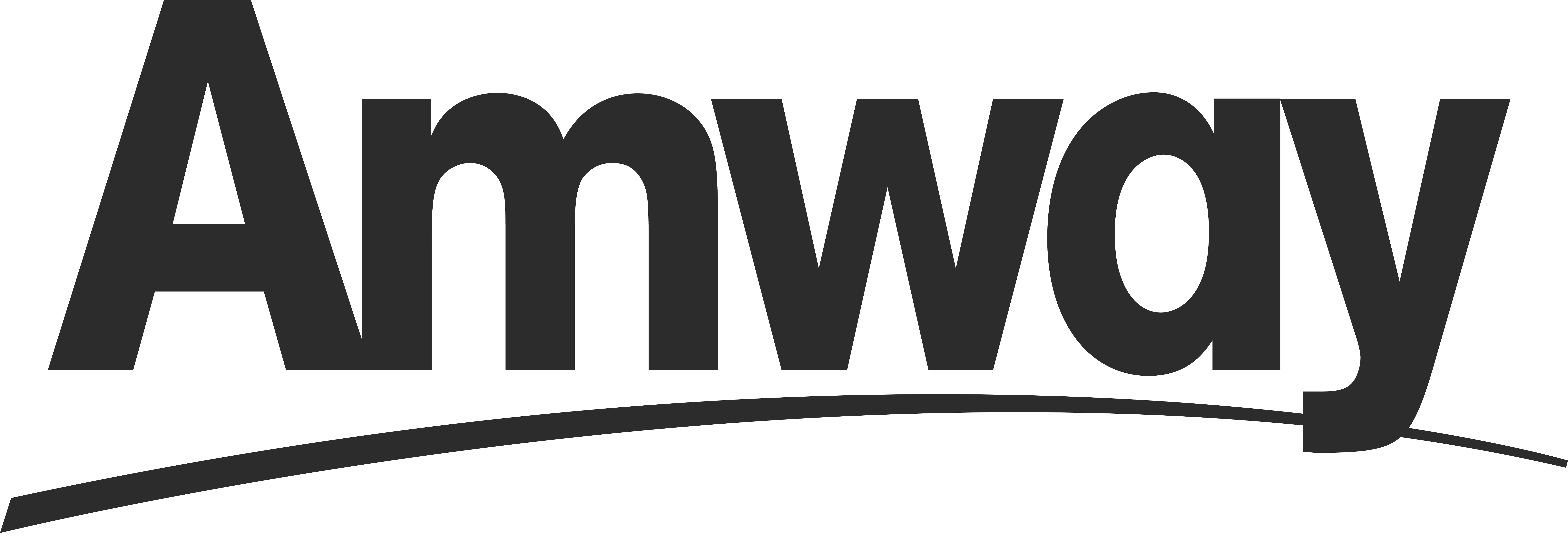 Partner Sponsor Logo 1